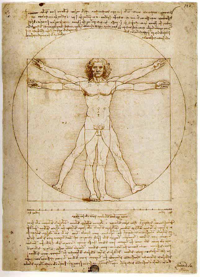 Леонардо да Винчи. Изучение пропорций человеческого тела — Leonardo da Vinci. Study of proportions, from Vitruvius's De Architectura (Vitruvian Man). Gallerie dell'Accademia, Venice — LINK: У женщин короткие ноги